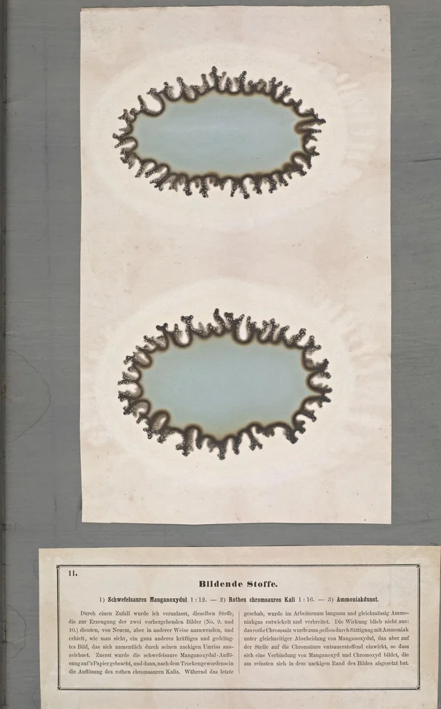 An illustration from Der Bildungstrieb der Stoffe : veranschaulicht in selbstständig gewachsenen Bildern (Fortsetzung der Musterbilder), 1855, leaf 20