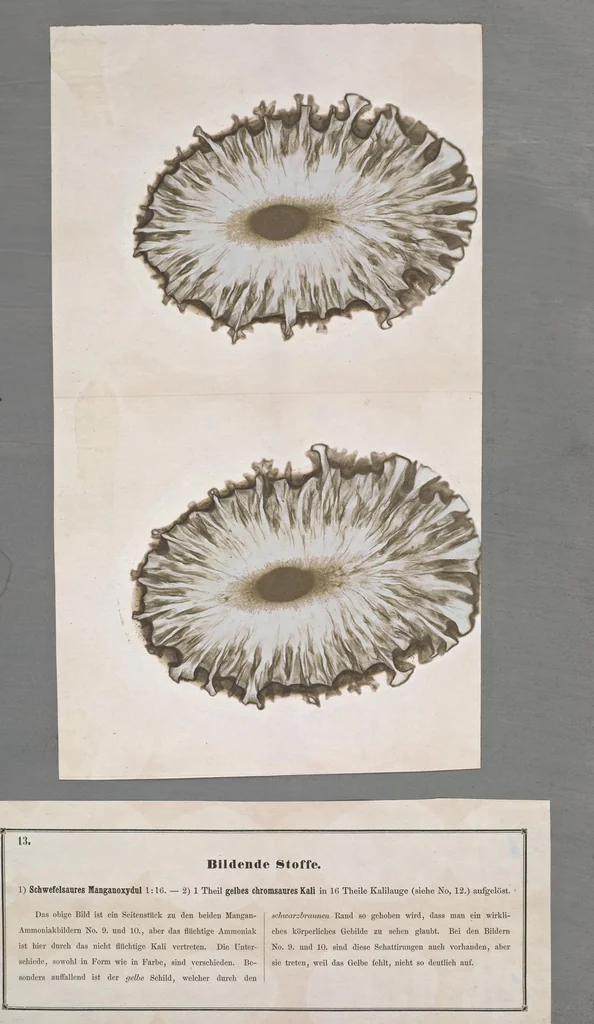 An illustration from Der Bildungstrieb der Stoffe : veranschaulicht in selbstständig gewachsenen Bildern (Fortsetzung der Musterbilder), 1855, leaf 24