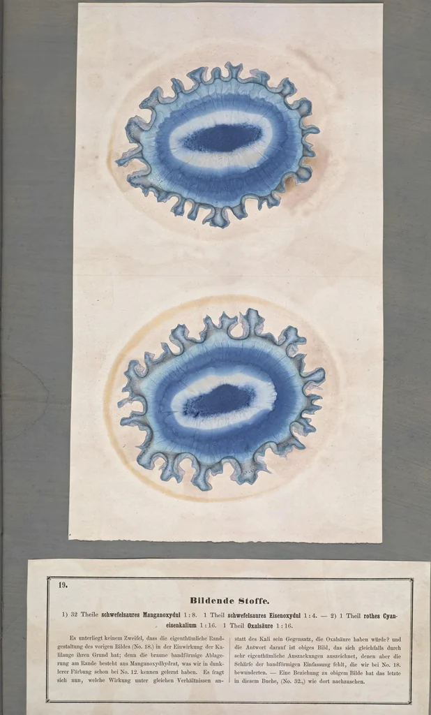An illustration from Der Bildungstrieb der Stoffe : veranschaulicht in selbstständig gewachsenen Bildern (Fortsetzung der Musterbilder), 1855, leaf 36