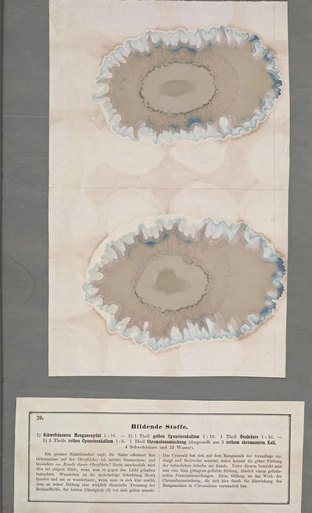 An illustration from Der Bildungstrieb der Stoffe : veranschaulicht in selbstständig gewachsenen Bildern (Fortsetzung der Musterbilder), 1855, leaf 38