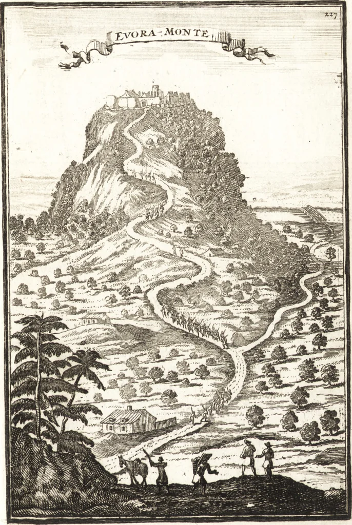 An illustration from Les travaux de Mars, ou, L'art de la guerre : divisé en trois parties ... : avec un ample détail de la milice des Turcs, tant pour l'attaque que pour la deffence : ouvrage enrichi de plus de quatre cens planches gravées en taille-douce, 1684, leaf 246