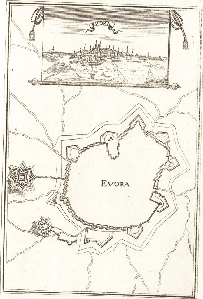 An illustration from Les travaux de Mars, ou, L'art de la guerre : divisé en trois parties ... : avec un ample détail de la milice des Turcs, tant pour l'attaque que pour la deffence : ouvrage enrichi de plus de quatre cens planches gravées en taille-douce, 1684, leaf 356