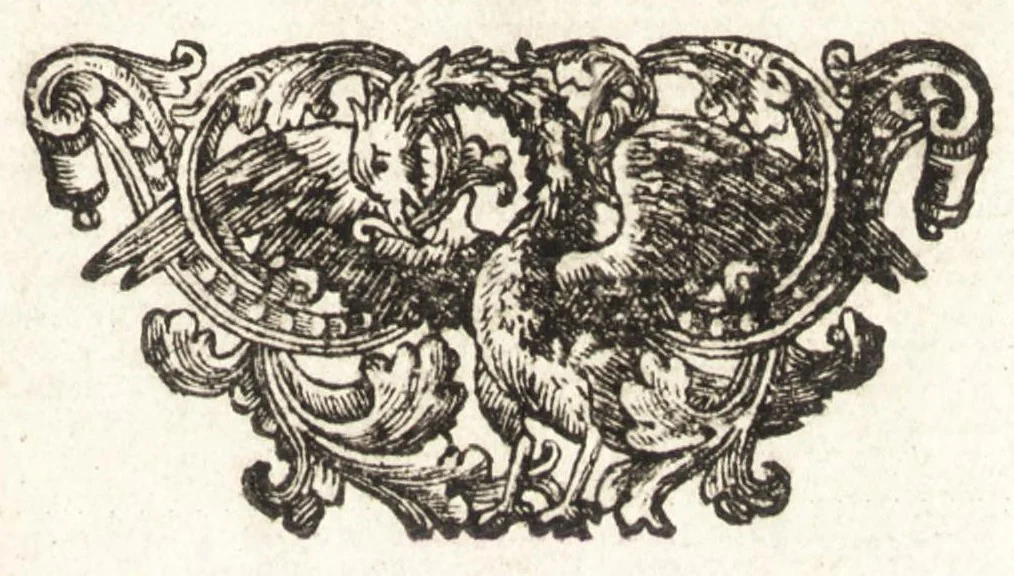 An illustration from Giro del mondo del dottor d. Gio. Francesco Gemelli Careri, 1699, leaf 4