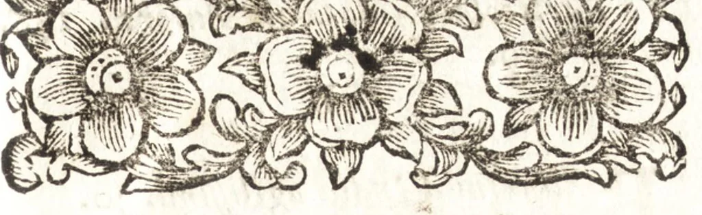 An illustration from Giro del mondo del dottor d. Gio. Francesco Gemelli Careri, 1699, leaf 420