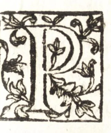 An illustration from Giro del mondo del dottor d. Gio. Francesco Gemelli Careri, 1699, leaf 138