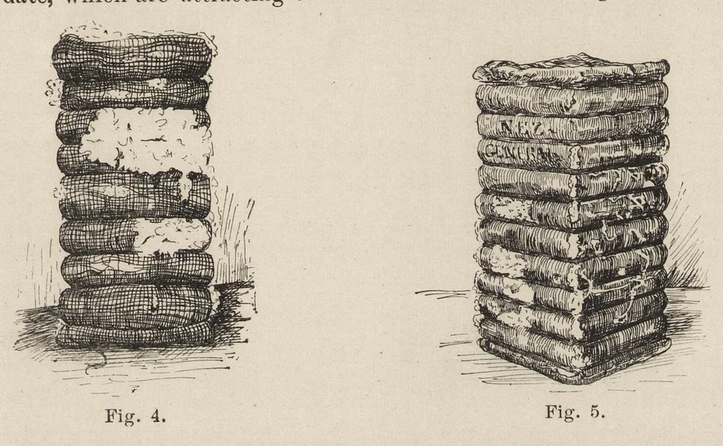 An illustration from Cyclopedia of textile work : a general reference library on cotton, woolen and worsted yarn manufacture, weaving, designing, chemistry and dyeing, finishing, knitting, and allied subjects, 1907, leaf 30