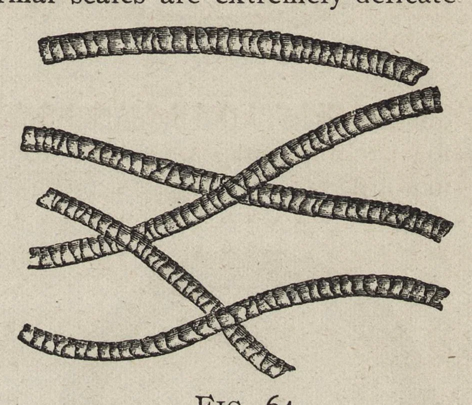 An illustration from Textile calculations : being a guide to calculations relating to the construction of all kinds of yarns and fabrics, the analysis of cloth, speed, power and belt calculations : for the use of students, operatives, overseers and manufacturers, 1896, leaf 102