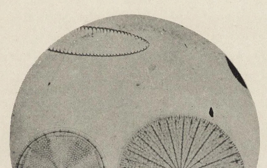 An illustration from The chemistry and technology of mixed paints, 1907, leaf 96