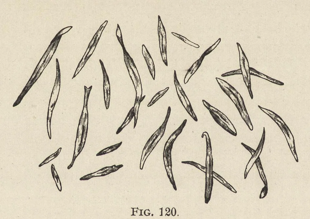 An illustration from The structure of fibres, yarns and fabrics : being a practical treatise for the use of all persons employed in the manufacture of textile fabrics, 1891, leaf 87