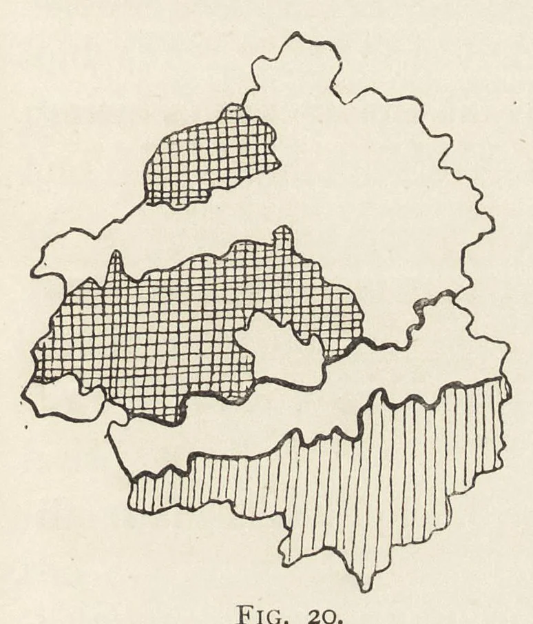 An illustration from The study of man, 1898, leaf 190