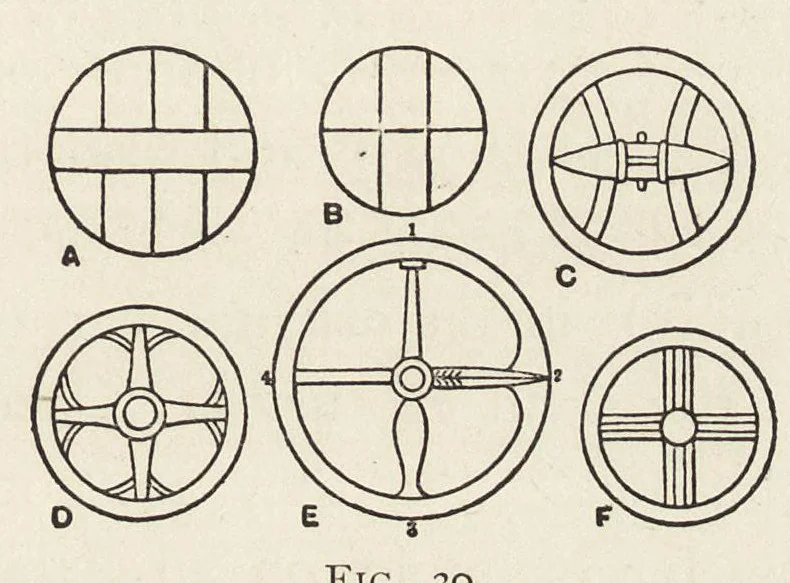 An illustration from The study of man, 1898, leaf 228