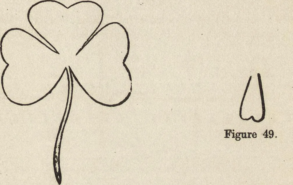 An illustration from Ancient pagan and modern Christian symbolism, 1922, leaf 108