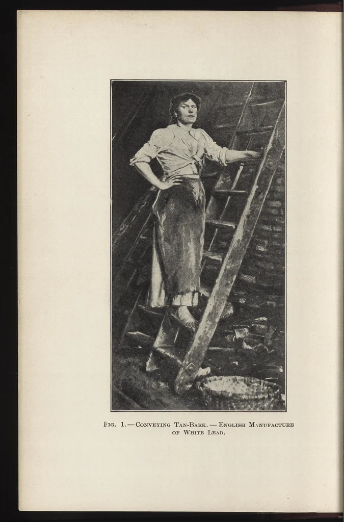An illustration from The lead and zinc pigments, 1909, leaf 5