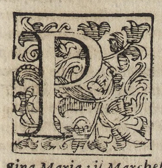 An illustration from Vita del serenissimo signor Cosimo de Medici, primo gran duca di Toscana, 1611, leaf 294