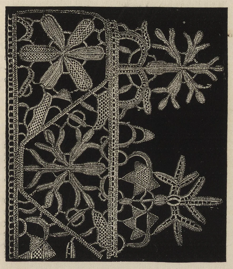 An illustration from Lace, ancient and modern : comprising a history of its origin and manufacture, with instructions concerning the manner of making it, 1880, leaf 108