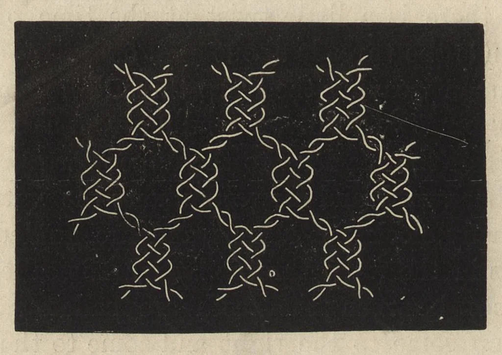 An illustration from Lace, ancient and modern : comprising a history of its origin and manufacture, with instructions concerning the manner of making it, 1880, leaf 257