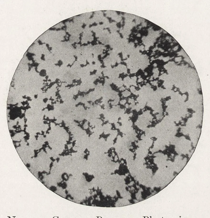 An illustration from The chemistry and technology of paints, 1916, leaf 103