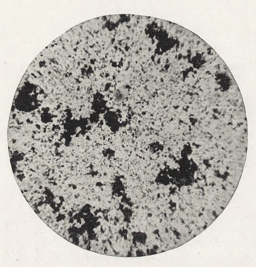 An illustration from The chemistry and technology of paints, 1916, leaf 109