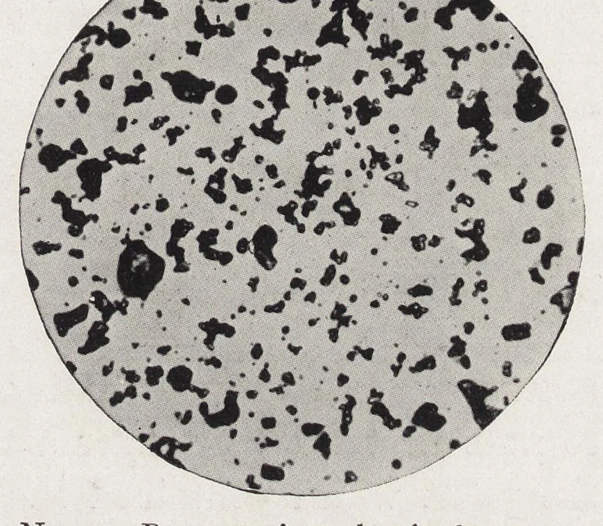 An illustration from The chemistry and technology of paints, 1916, leaf 116