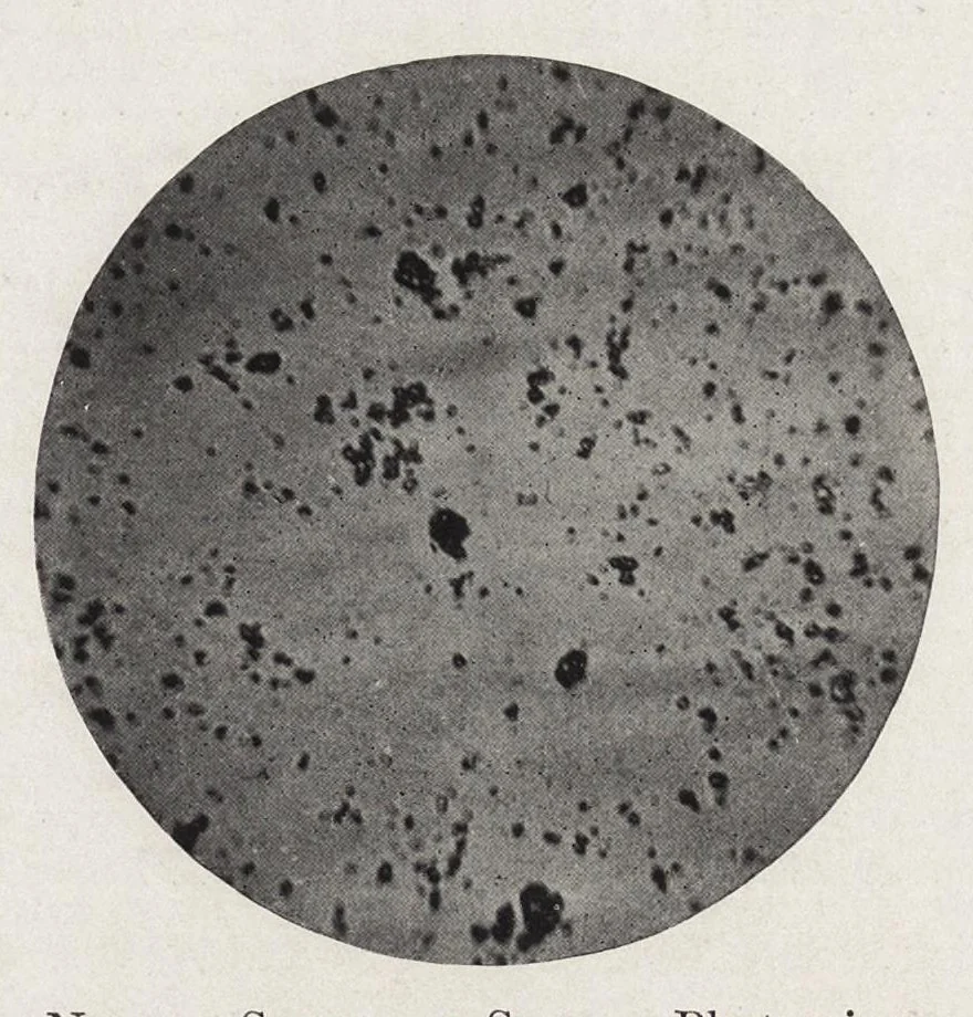 An illustration from The chemistry and technology of paints, 1916, leaf 126