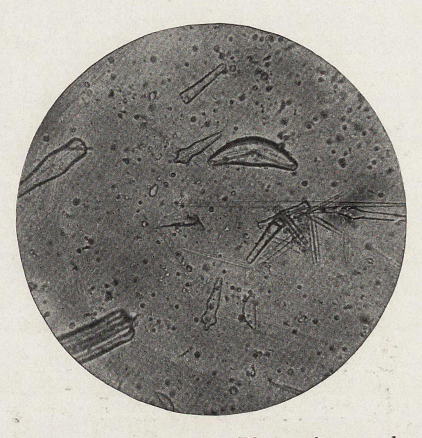 An illustration from The chemistry and technology of paints, 1916, leaf 130