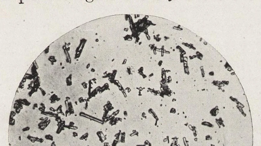 An illustration from The chemistry and technology of paints, 1916, leaf 140
