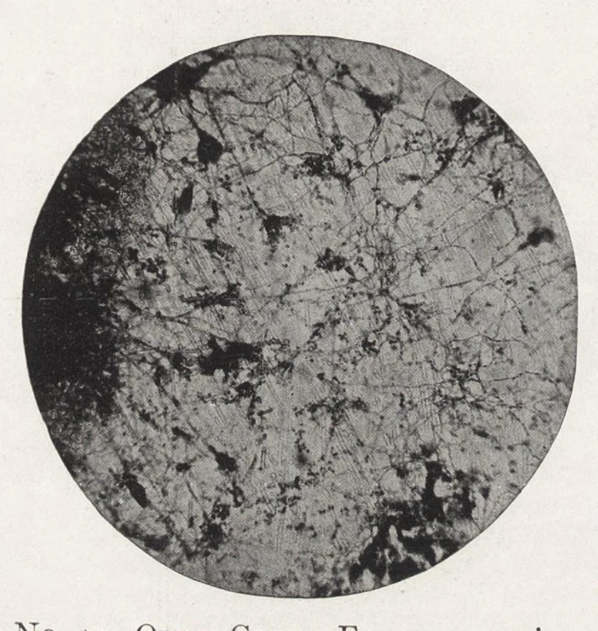 An illustration from The chemistry and technology of paints, 1916, leaf 287