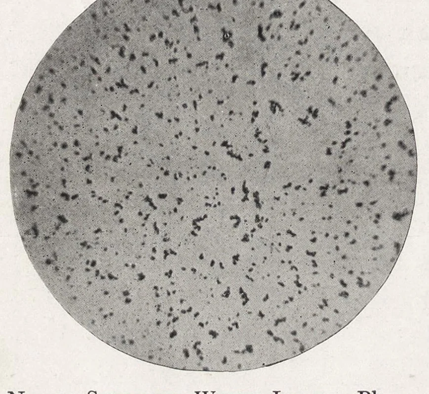 An illustration from The chemistry and technology of paints, 1916, leaf 39
