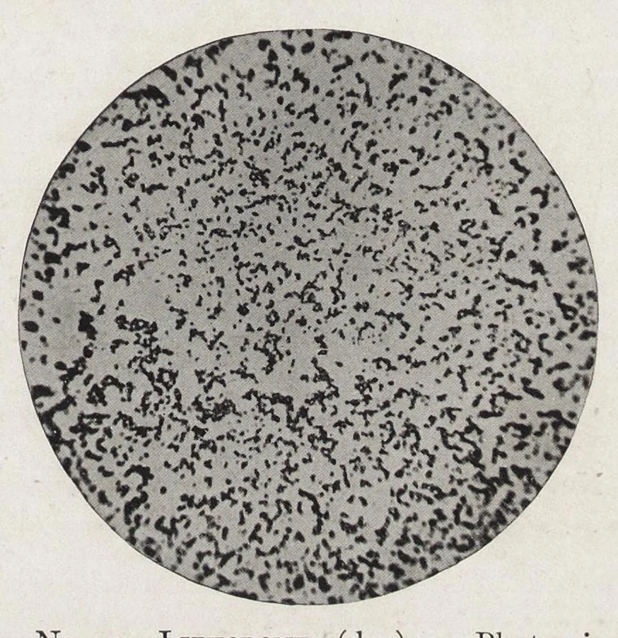 An illustration from The chemistry and technology of paints, 1916, leaf 50
