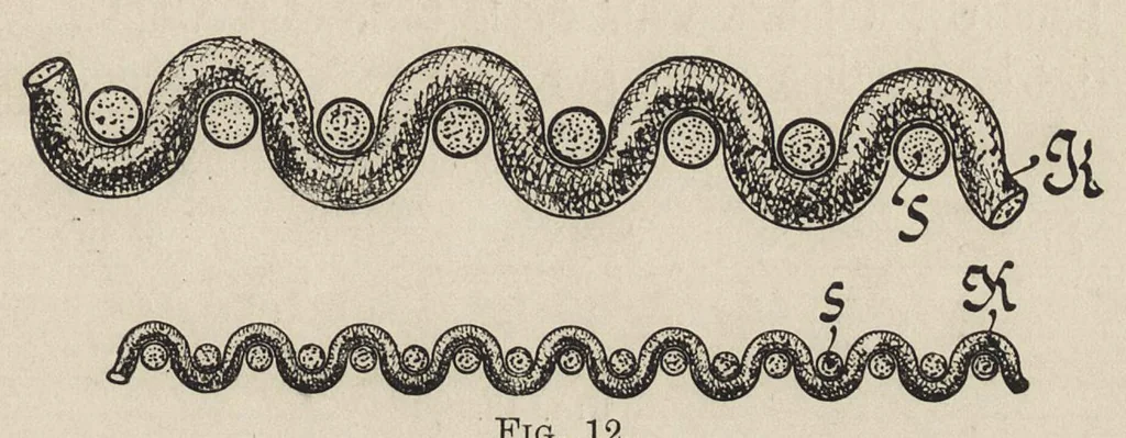 An illustration from Spinning and weaving calculations : with special reference to woollen fabrics, 1904, leaf 80