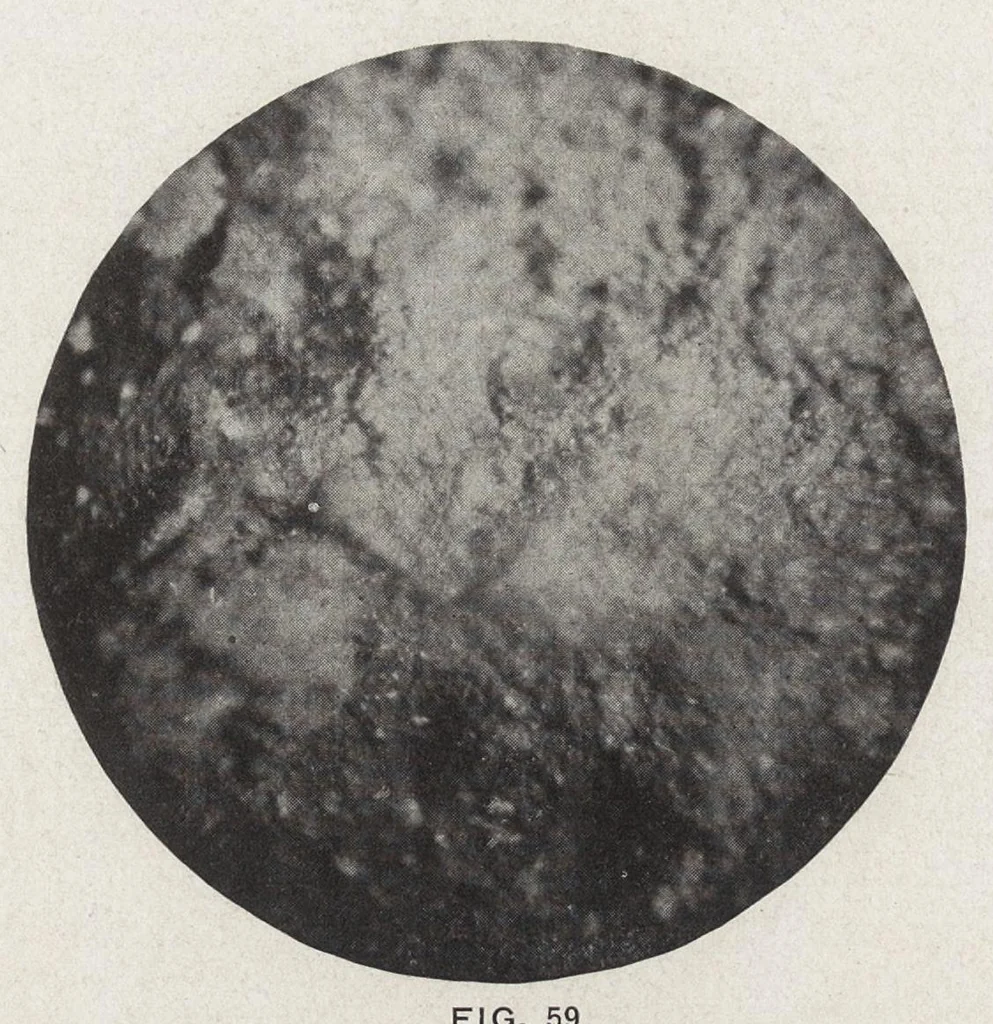 An illustration from Papers on paint and varnish and the materials used in their manufacture, 1920, leaf 385