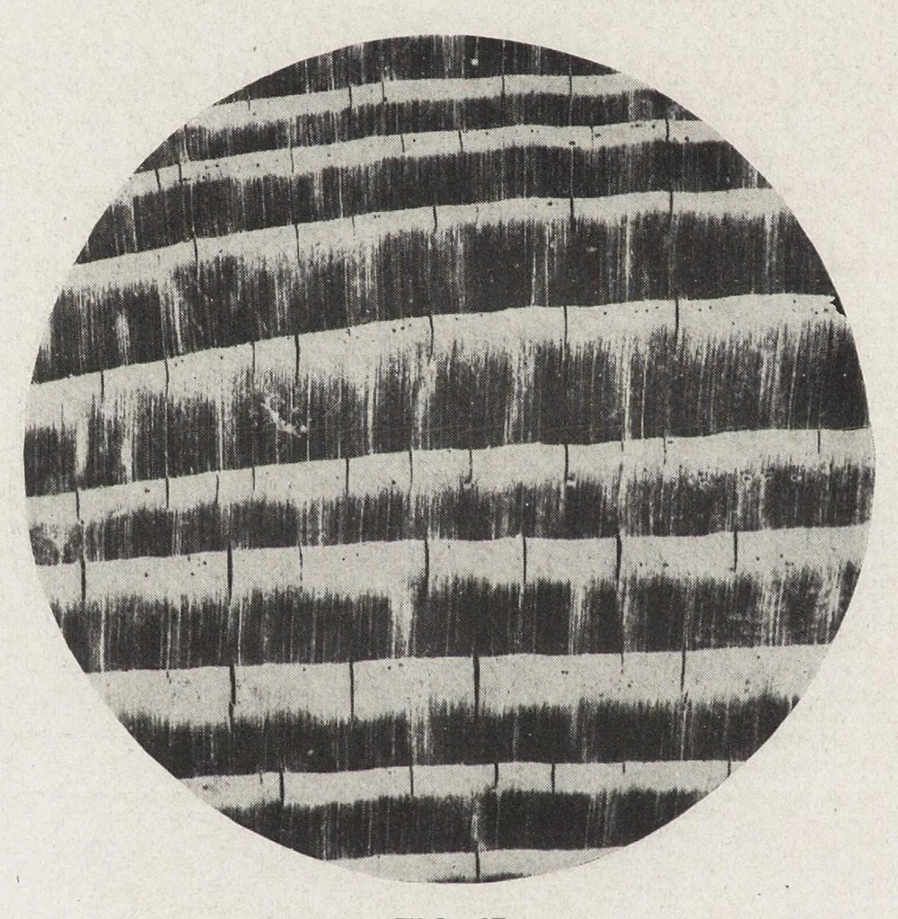 An illustration from Papers on paint and varnish and the materials used in their manufacture, 1920, leaf 389