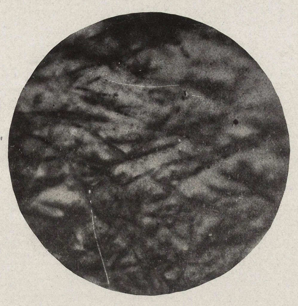 An illustration from Papers on paint and varnish and the materials used in their manufacture, 1920, leaf 392