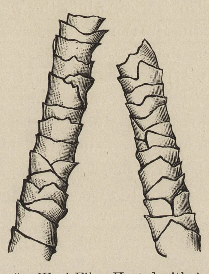 An illustration from The dyeing of woollen fabrics, 1902, leaf 22
