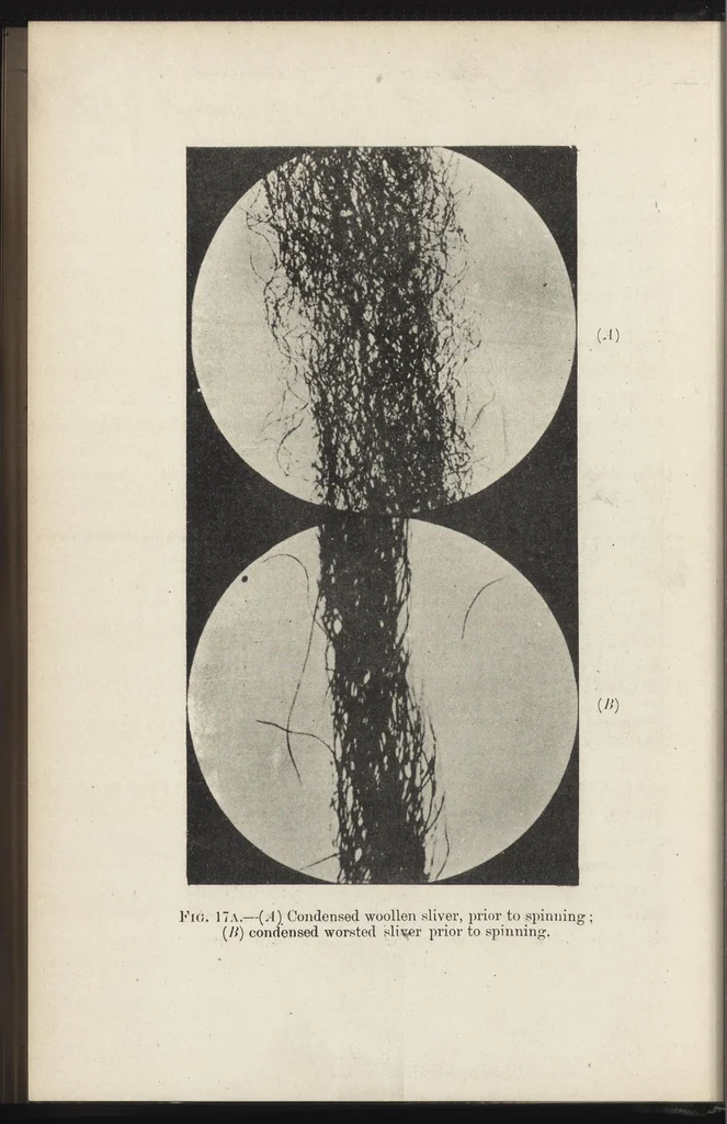 An illustration from Textiles, 1919, leaf 121