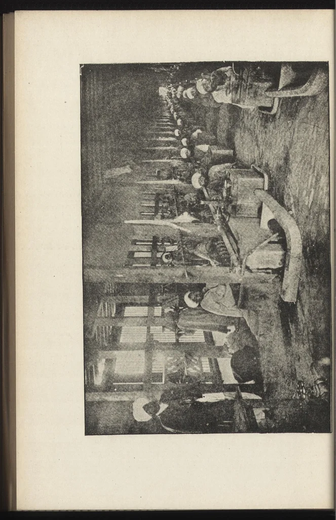 An illustration from Textiles, 1919, leaf 307