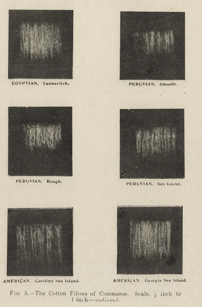 An illustration from Textiles, 1919, leaf 52