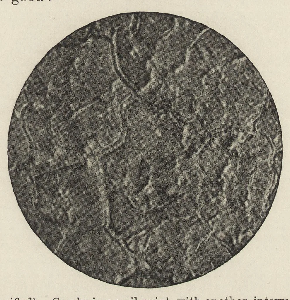 An illustration from Iron corrosion : anti-fouling and anti-corrosive paints, 1900, leaf 100