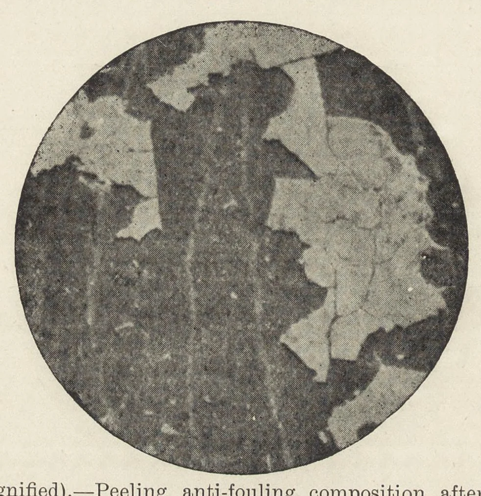 An illustration from Iron corrosion : anti-fouling and anti-corrosive paints, 1900, leaf 229