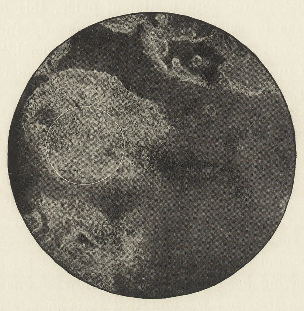 An illustration from Iron corrosion : anti-fouling and anti-corrosive paints, 1900, leaf 29