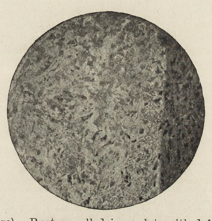An illustration from Iron corrosion : anti-fouling and anti-corrosive paints, 1900, leaf 38