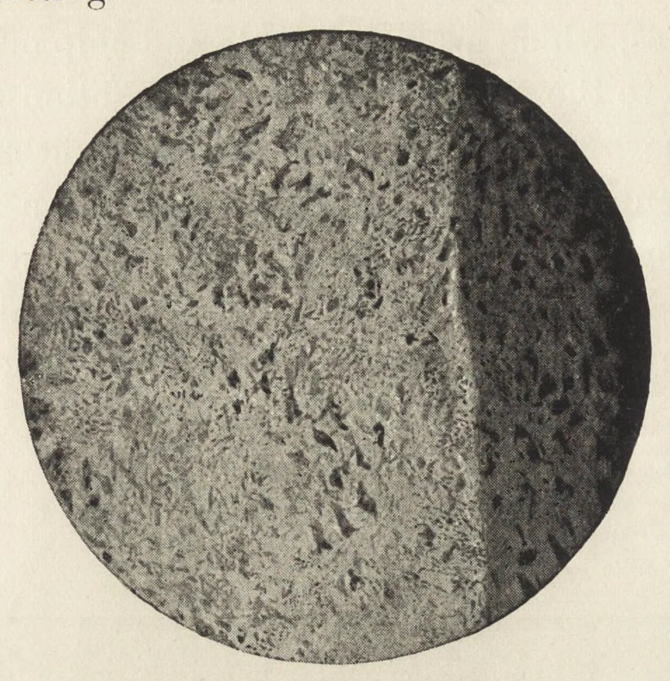 An illustration from Iron corrosion : anti-fouling and anti-corrosive paints, 1900, leaf 39