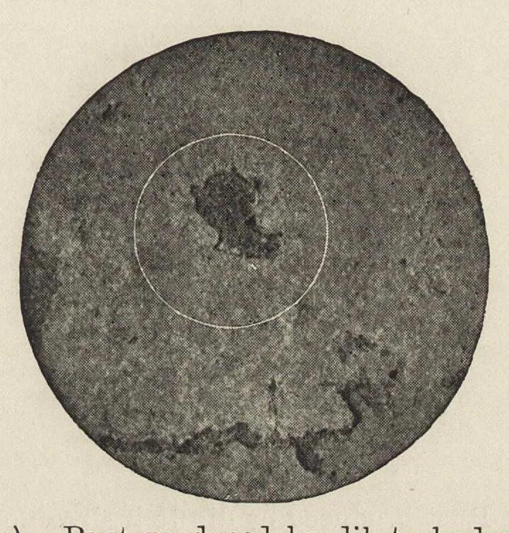 An illustration from Iron corrosion : anti-fouling and anti-corrosive paints, 1900, leaf 42