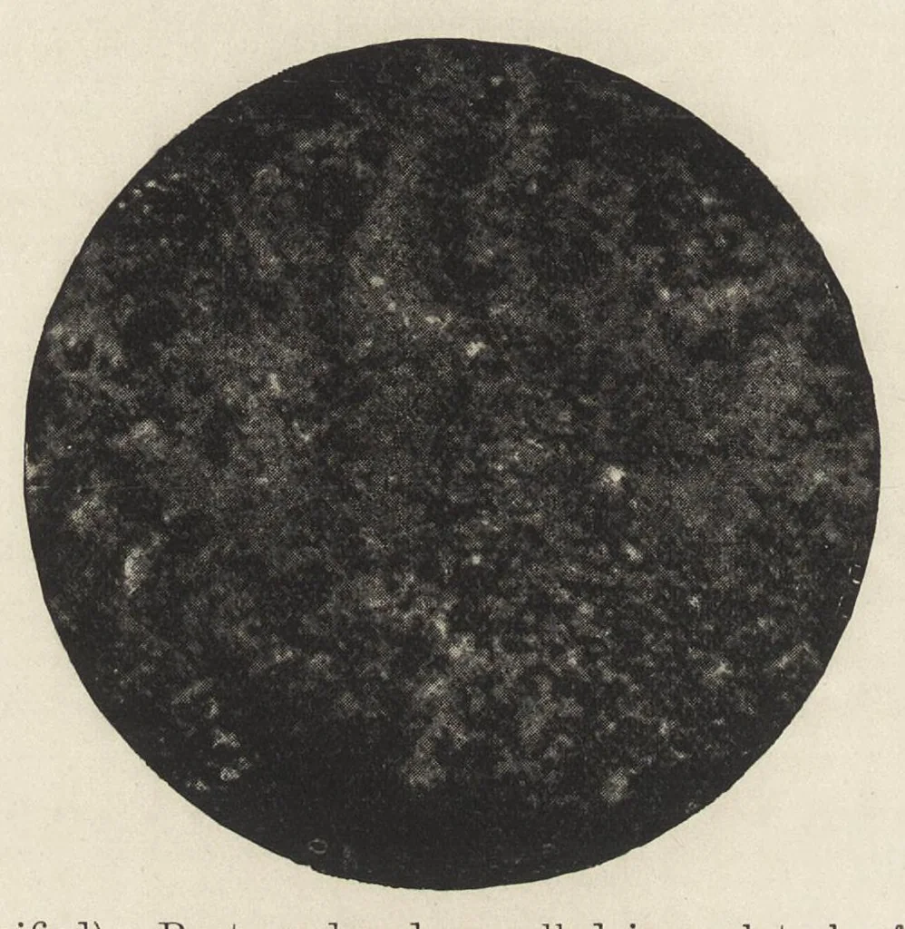 An illustration from Iron corrosion : anti-fouling and anti-corrosive paints, 1900, leaf 49