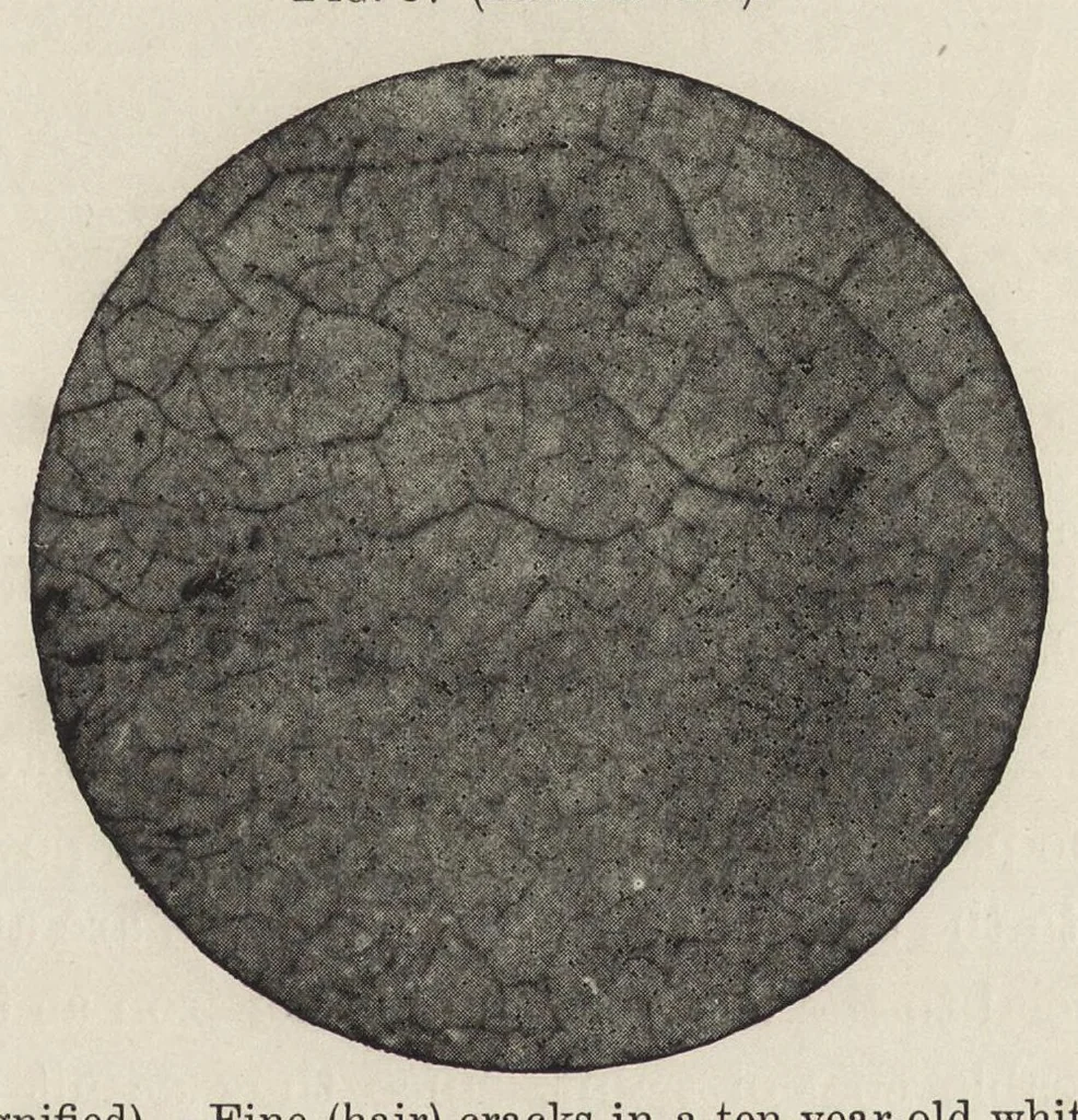An illustration from Iron corrosion : anti-fouling and anti-corrosive paints, 1900, leaf 96