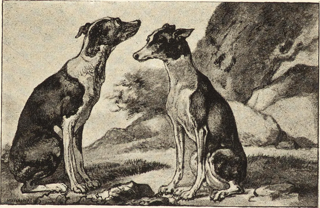 An illustration from The landscape and pastoral painters of Holland : Ruisdael, Hobbema, Cuijp, Potter, 1891, leaf 127