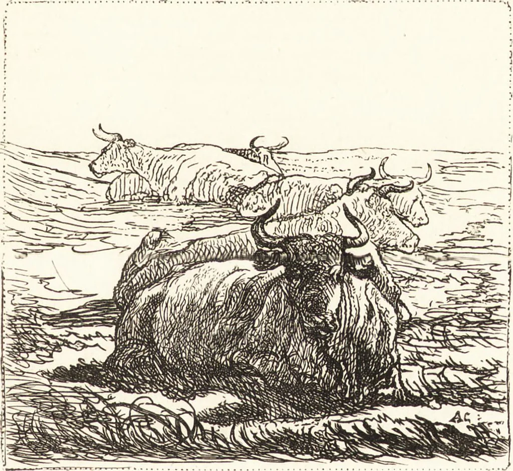 An illustration from The landscape and pastoral painters of Holland : Ruisdael, Hobbema, Cuijp, Potter, 1891, leaf 130