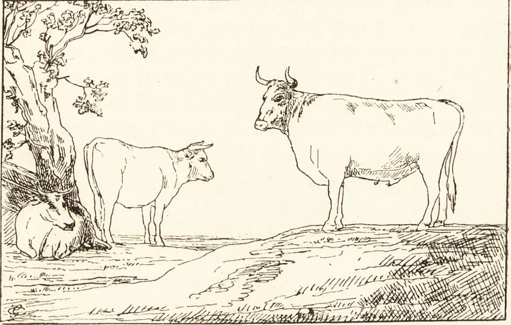 An illustration from The landscape and pastoral painters of Holland : Ruisdael, Hobbema, Cuijp, Potter, 1891, leaf 134