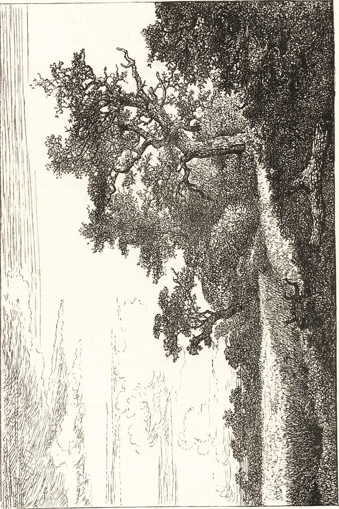 An illustration from The landscape and pastoral painters of Holland : Ruisdael, Hobbema, Cuijp, Potter, 1891, leaf 58
