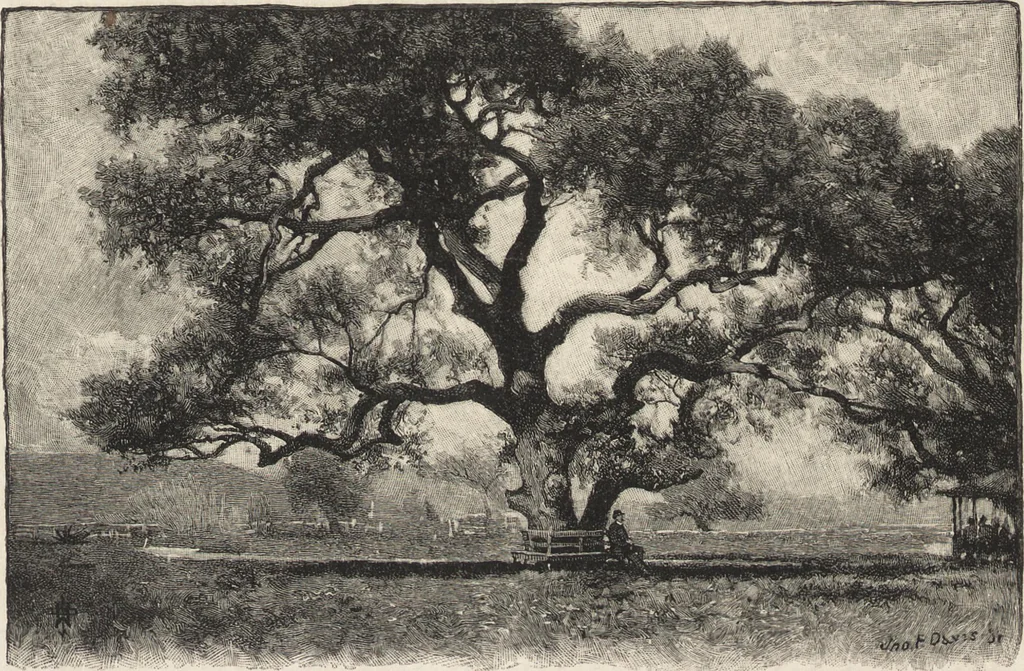 An illustration from The masters and master-pieces of engraving, 1894, leaf 324